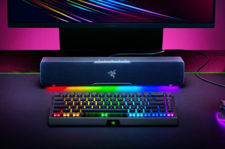 Razer levijatan v2 x jedna boja zvuk igranja T26R884
