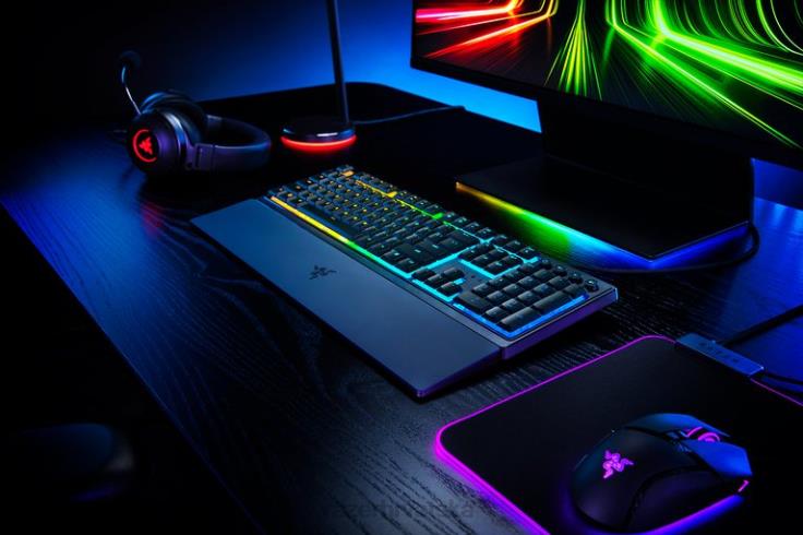 Razer ornata v3 - nas jedna boja tipkovnica T26R875