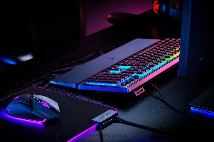 Razer ornata v3 - nas jedna boja tipkovnica T26R875