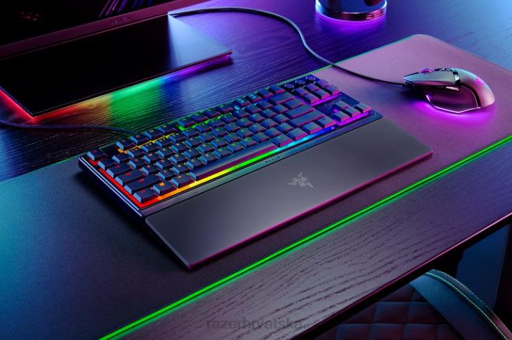 Razer ornata v3 tenkeyless - nas jedna boja tipkovnica T26R876